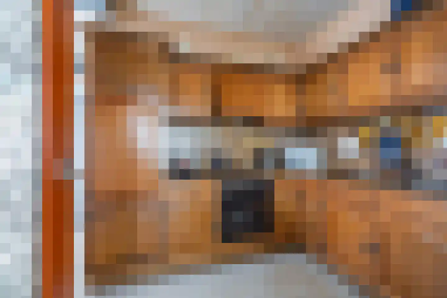 Draijerswijk 7 Oude Pekela thumbnail 12