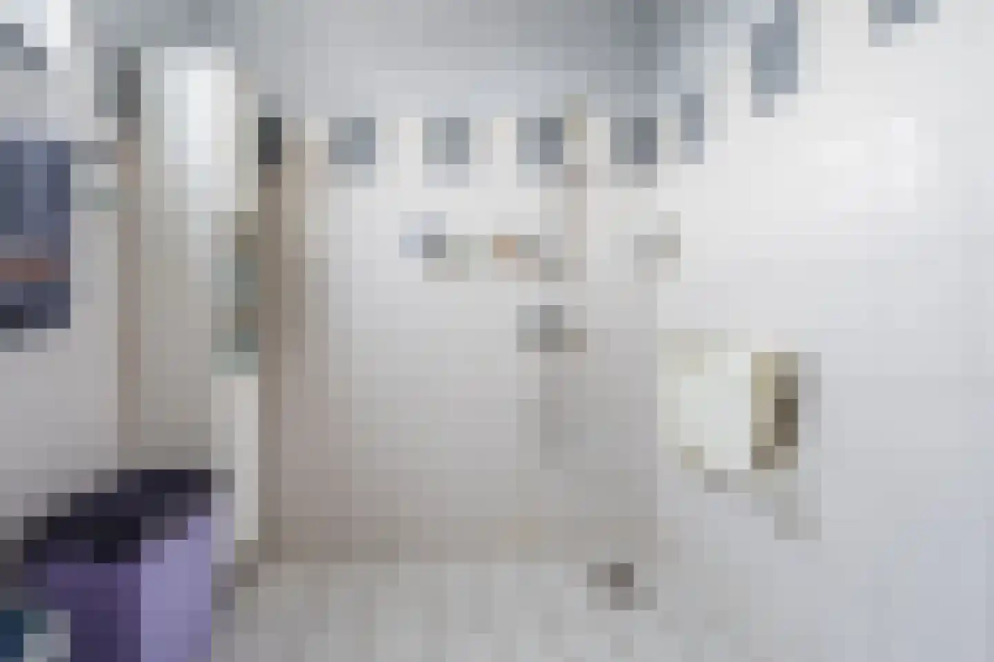 Draijerswijk 7 Oude Pekela thumbnail 24