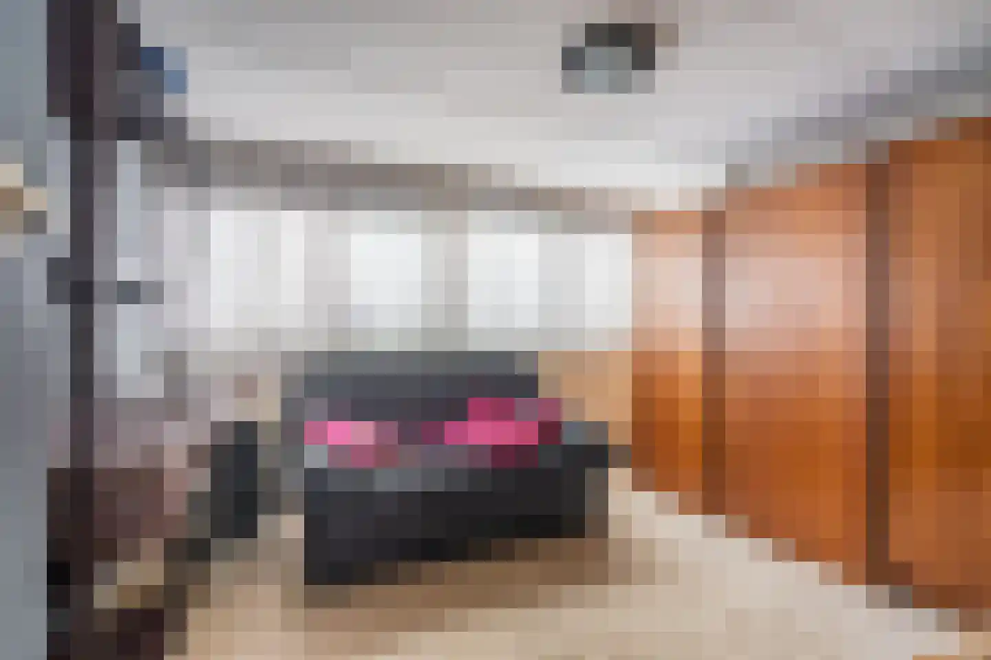 Draijerswijk 7 Oude Pekela thumbnail 32