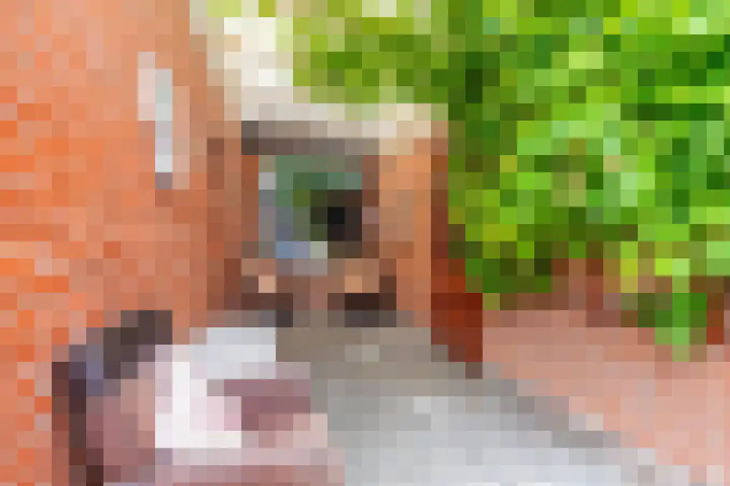 Draijerswijk 7 Oude Pekela thumbnail 42