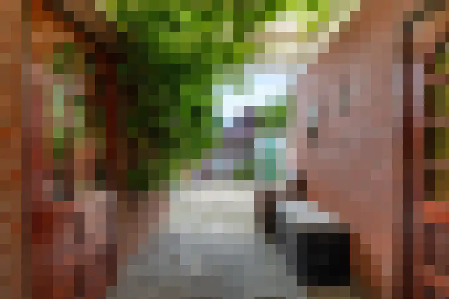 Draijerswijk 7 Oude Pekela thumbnail 44