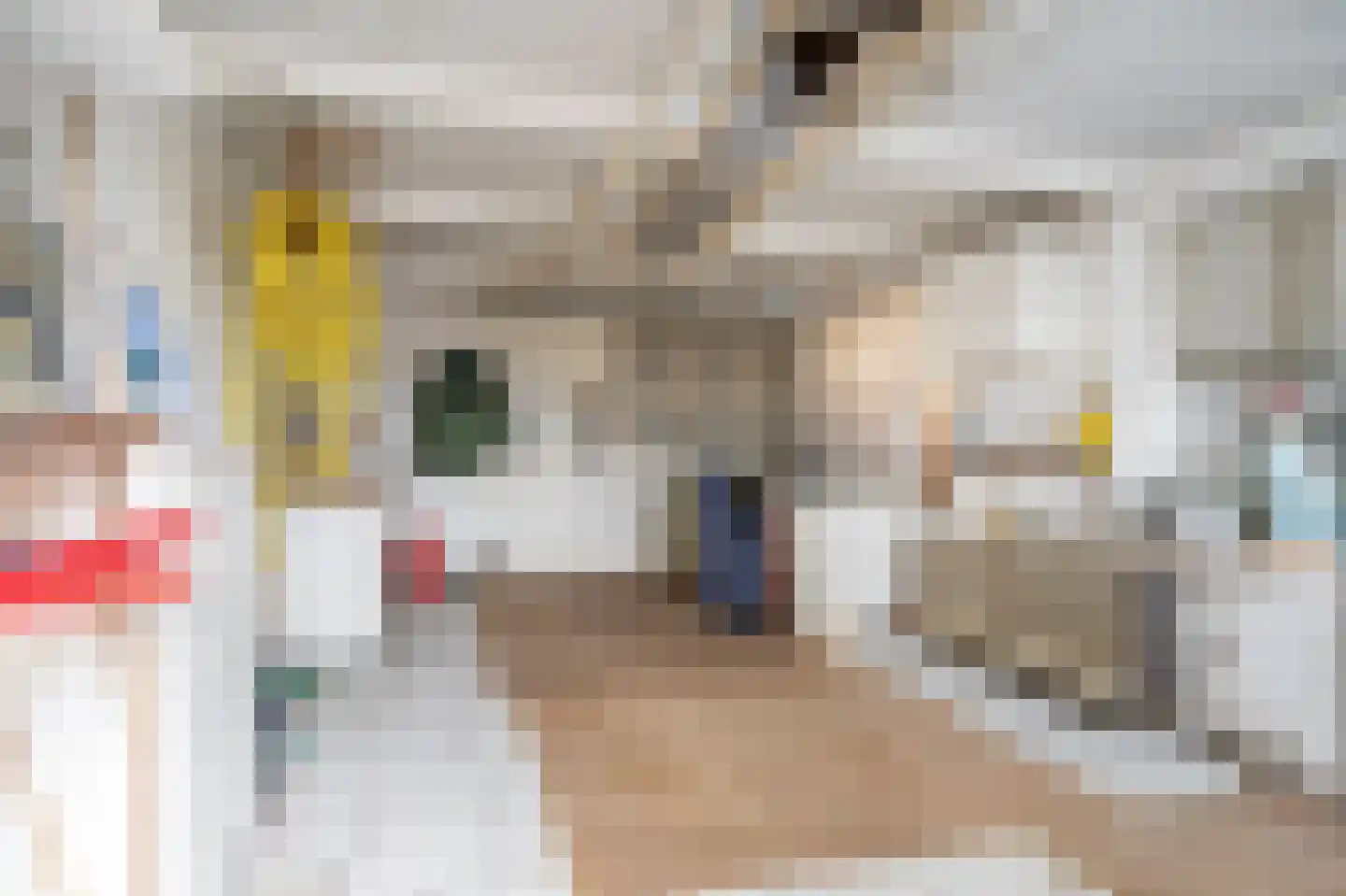 Draijerswijk 7 Oude Pekela thumbnail 48
