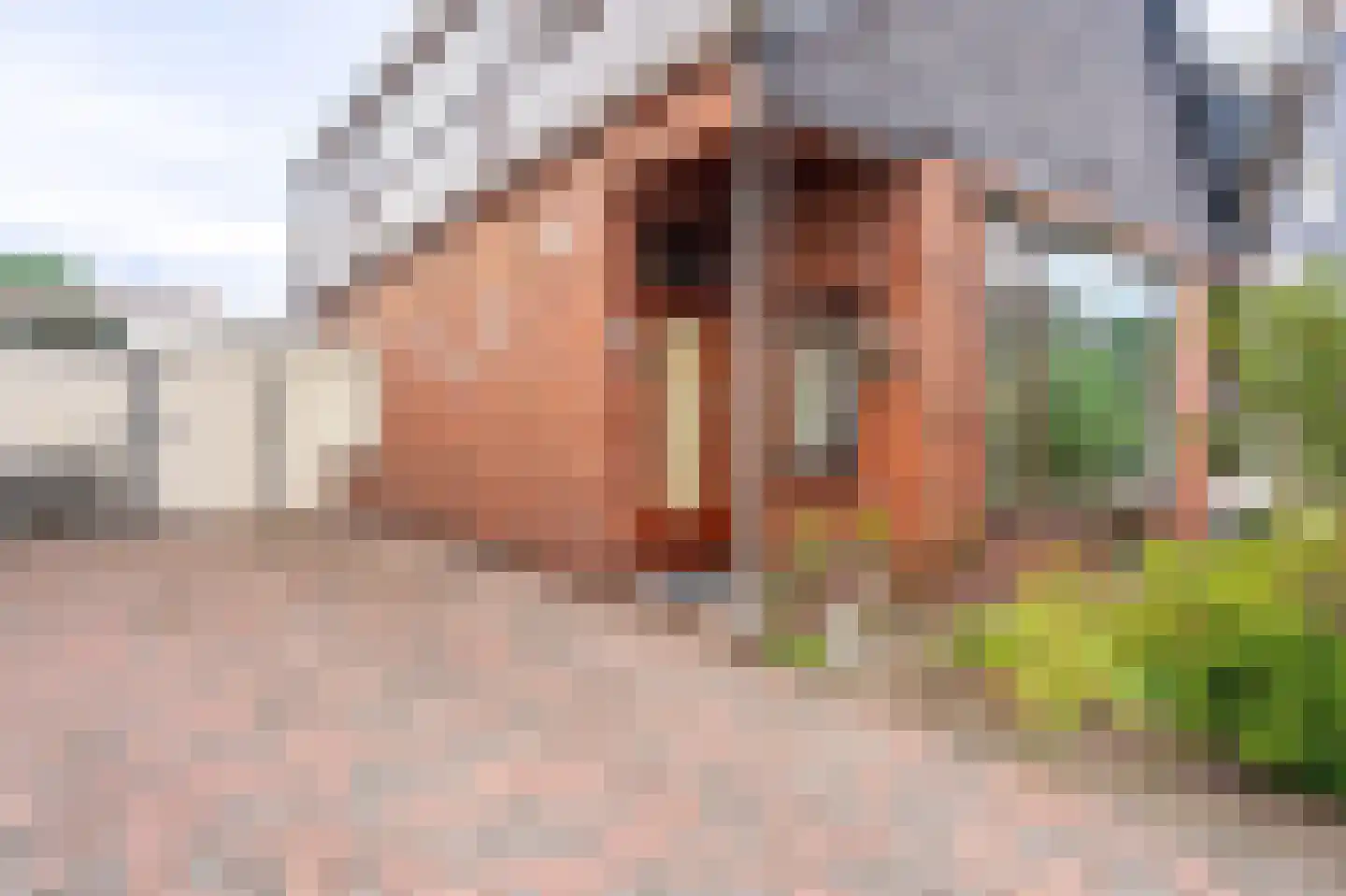 Draijerswijk 7 Oude Pekela thumbnail 6