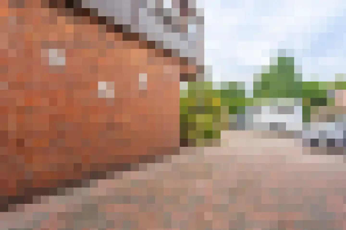 Draijerswijk 7 Oude Pekela thumbnail 7