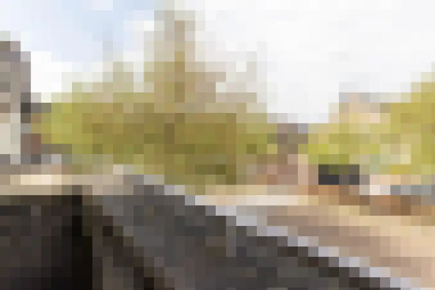 Drakebôch 1 Beesel thumbnail 12