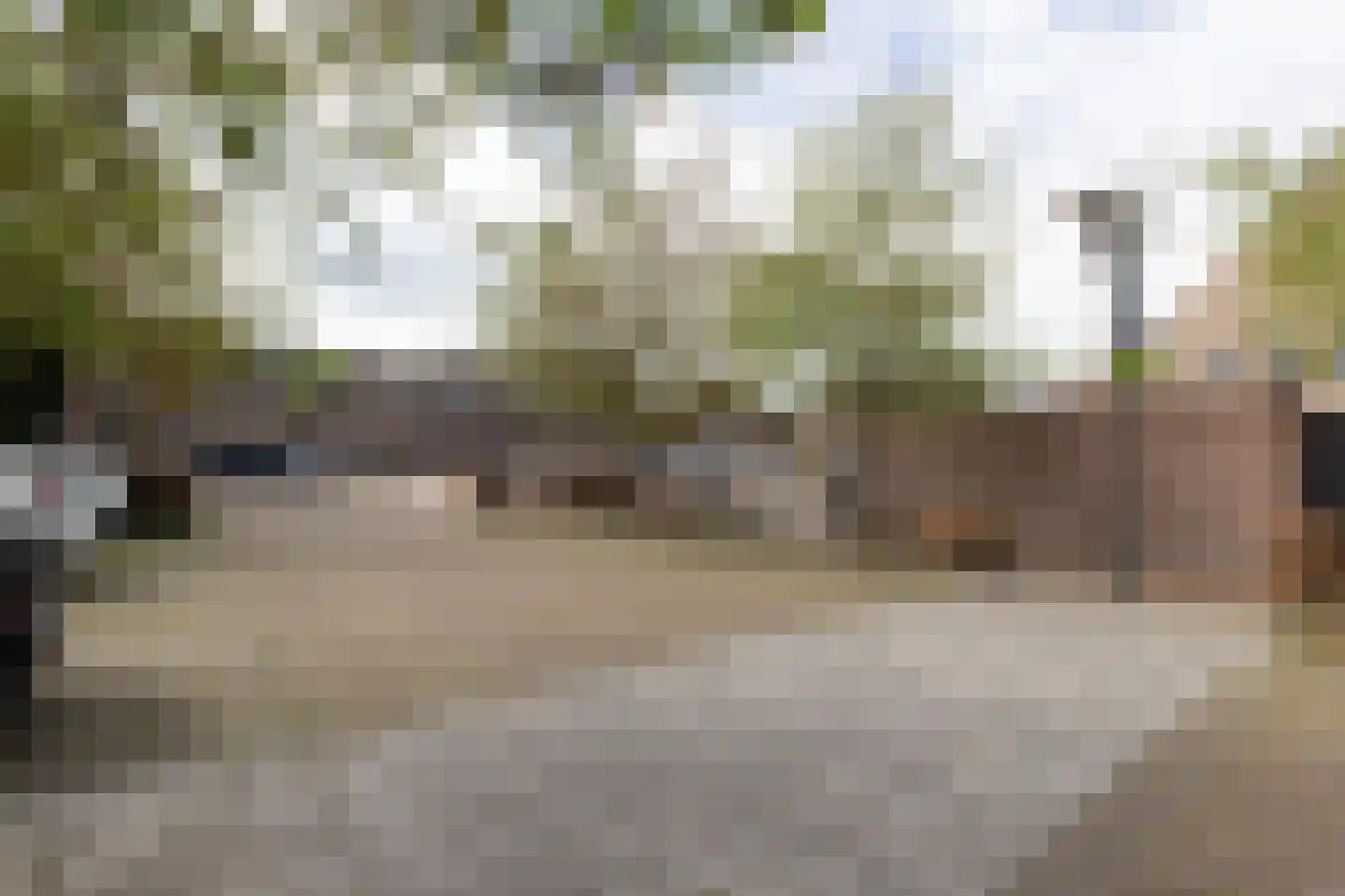 Drakebôch 1 Beesel thumbnail 18