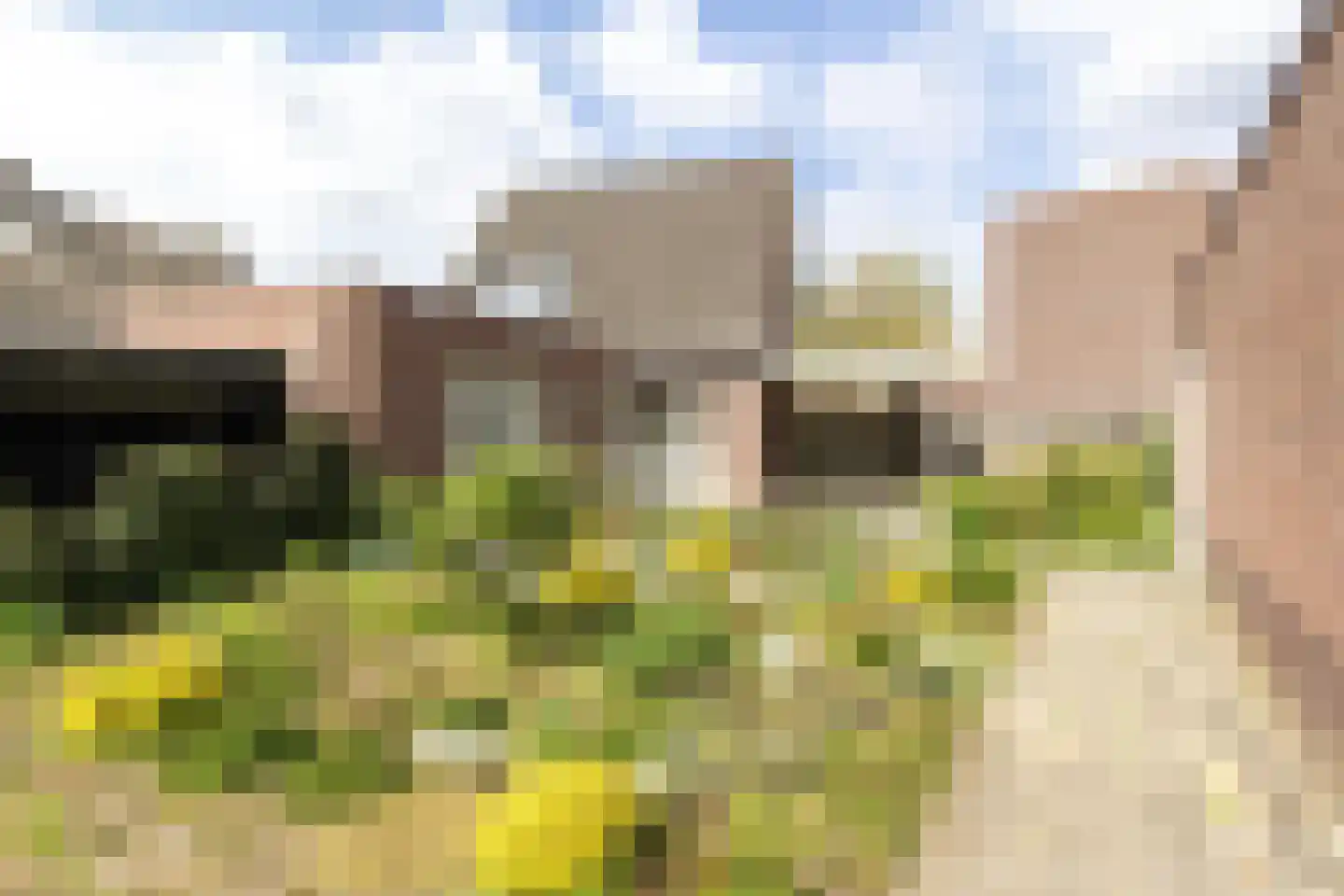 Drakebôch 1 Beesel thumbnail 8