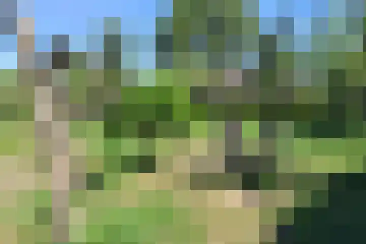 Drakenberg 17 Roosendaal thumbnail 61
