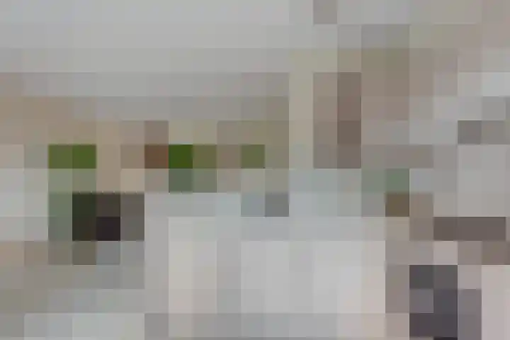 Drakenburg 26 Heemskerk thumbnail 15