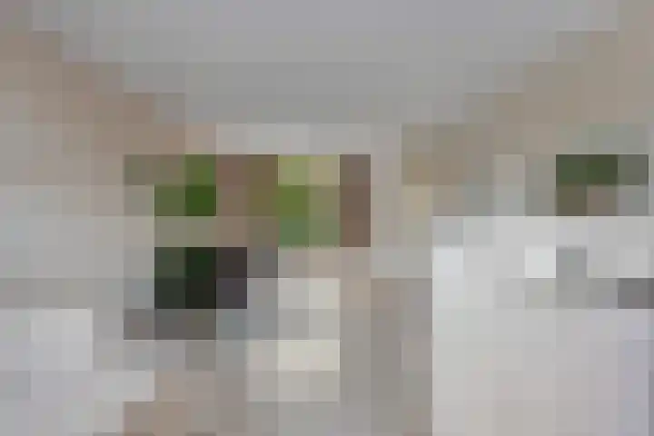 Drakenburg 26 Heemskerk thumbnail 16