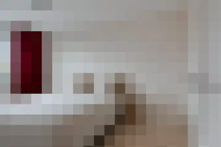 Drakenburg 26 Heemskerk thumbnail 22