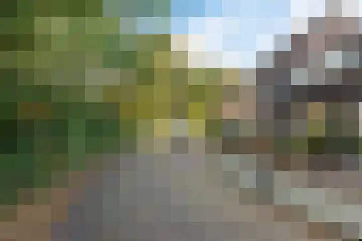 Drakenburg 26 Heemskerk thumbnail 38