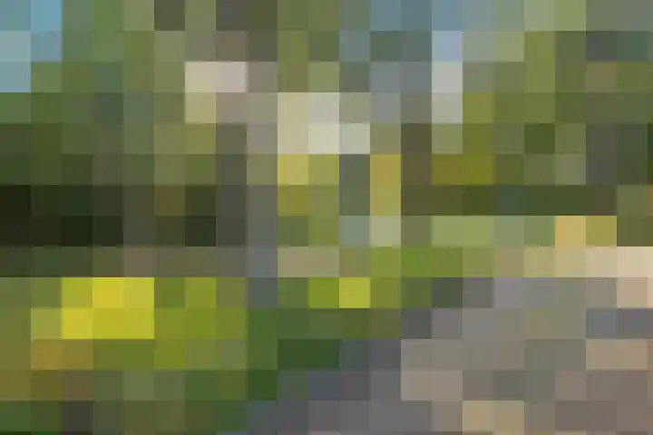 Drakenburg 26 Heemskerk thumbnail 39