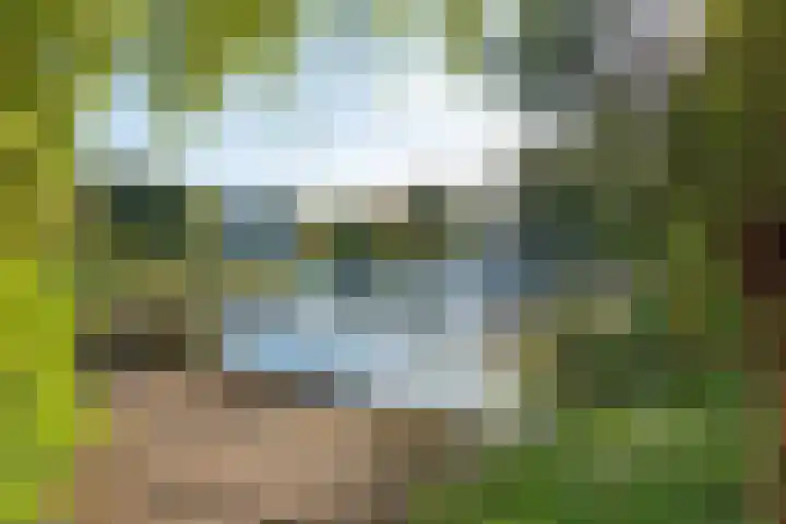 Drakenburg 26 Heemskerk thumbnail 42