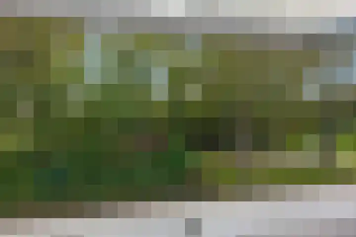 Drakenburg 26 Heemskerk thumbnail 43
