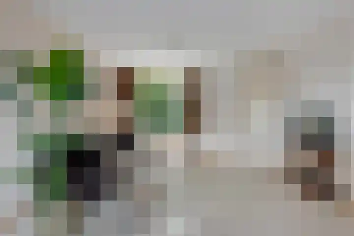 Drakenburg 26 Heemskerk thumbnail 5