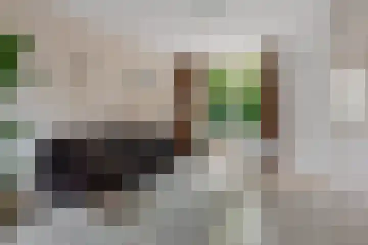 Drakenburg 26 Heemskerk thumbnail 6