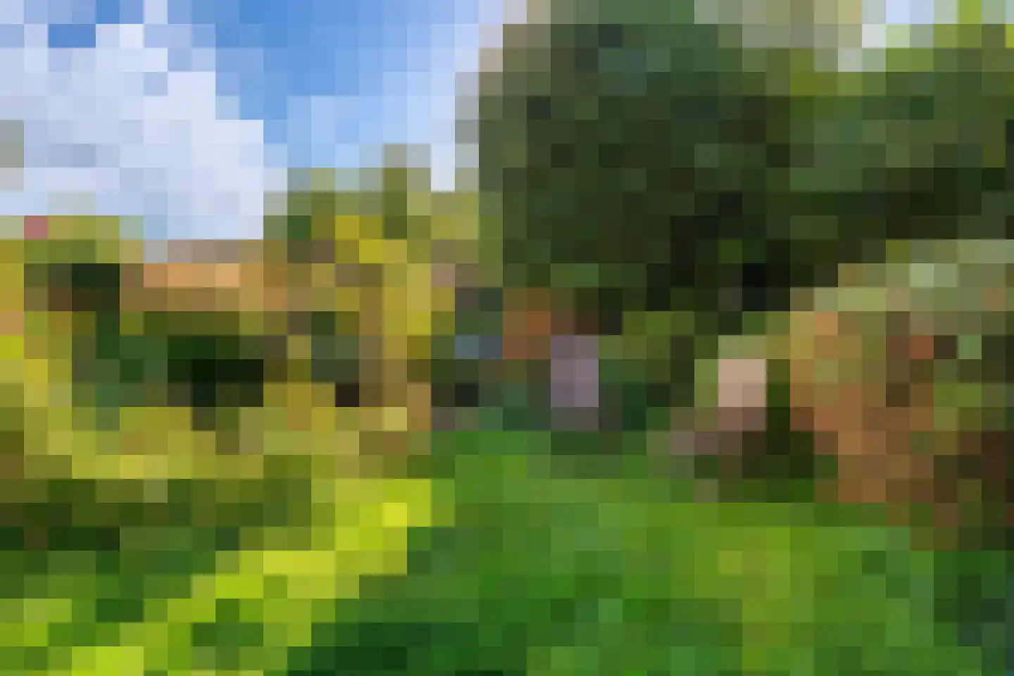 Drakenburgerweg 65 Baarn thumbnail 31