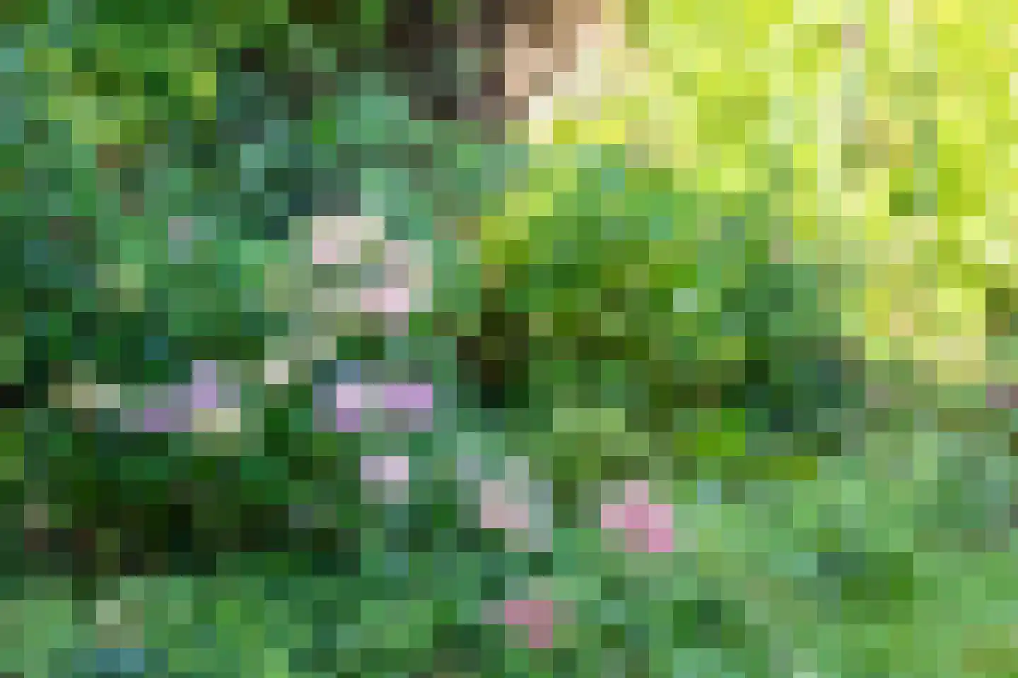 Drakenburgerweg 65 Baarn thumbnail 35