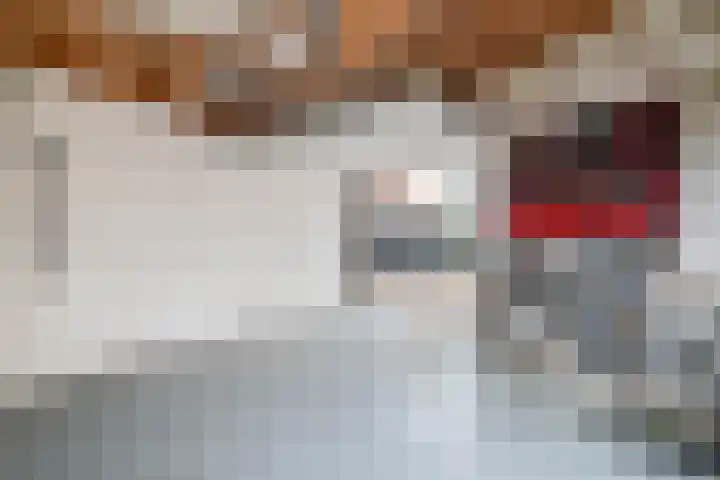 Drakenstein 34 Landsmeer thumbnail 27
