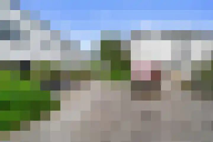 Drakenstein 34 Landsmeer thumbnail 47