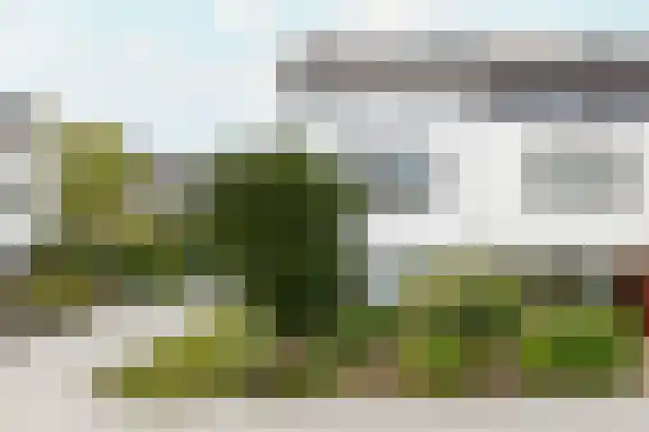 Drakenstein 7 Landsmeer thumbnail 10