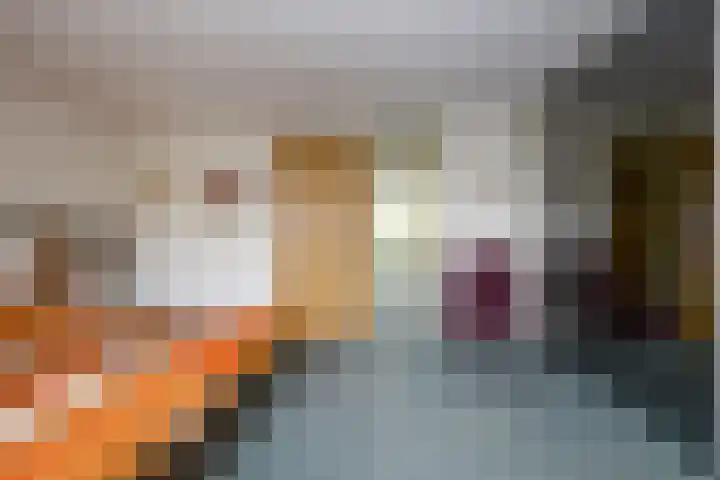 Drakenstein 7 Landsmeer thumbnail 32