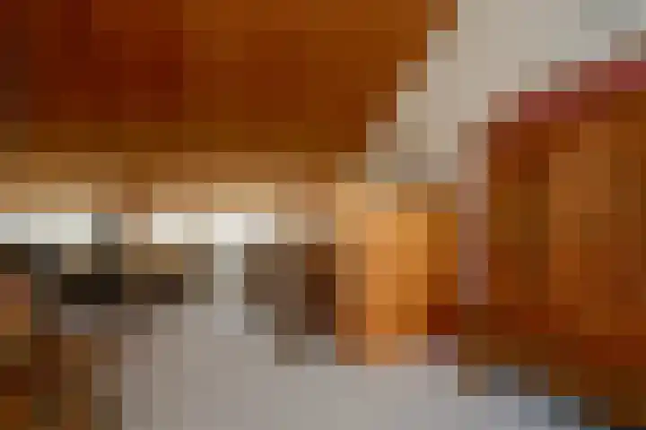 Drakenstein 7 Landsmeer thumbnail 43