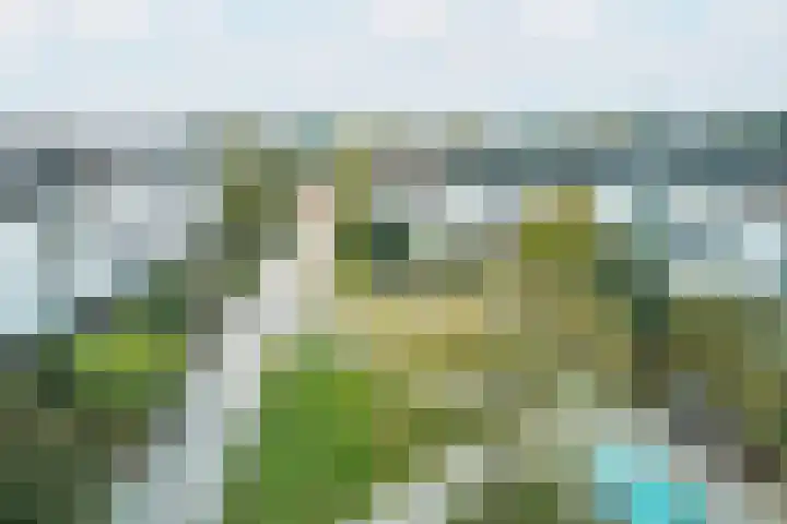 Drakenstein 7 Landsmeer thumbnail 5