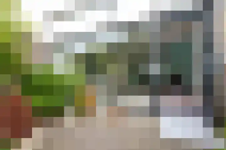 Drakenstein 7 Landsmeer thumbnail 51