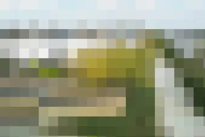 Drakenstein 7 Landsmeer thumbnail 65