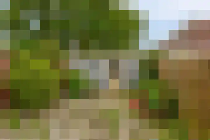 Drakensteinstraat 11 Nijmegen thumbnail 25