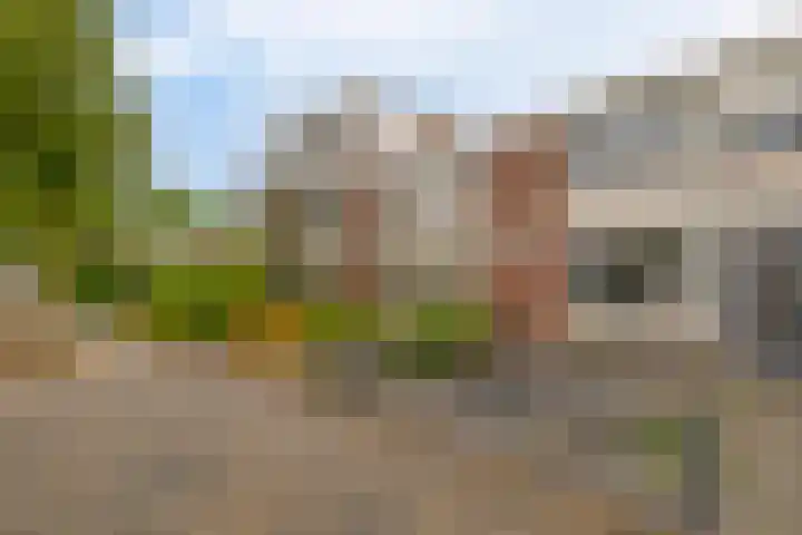 Drakensteinstraat 11 Nijmegen thumbnail 30
