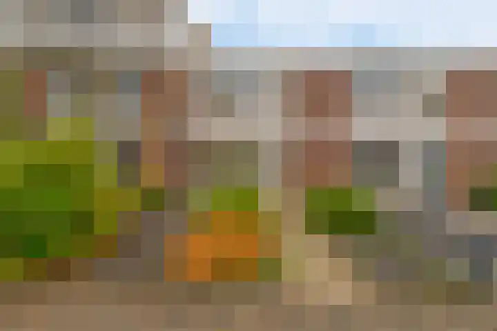 Drakensteinstraat 11 Nijmegen thumbnail 31