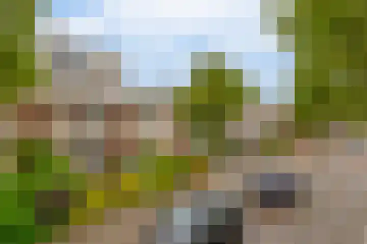 Drakensteinstraat 11 Nijmegen thumbnail 34