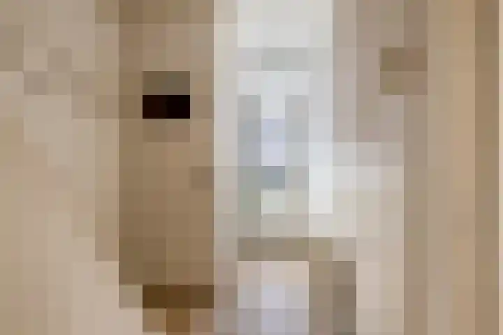Drakensteinstraat 11 Nijmegen thumbnail 4