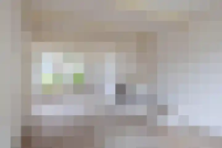 Drakensteinstraat 11 Nijmegen thumbnail 5