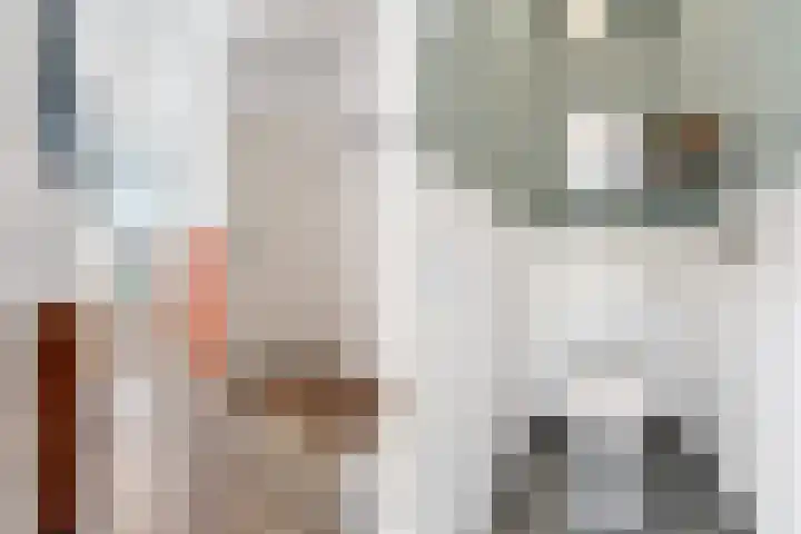 Drakensteinstraat 12 Nijmegen thumbnail 12