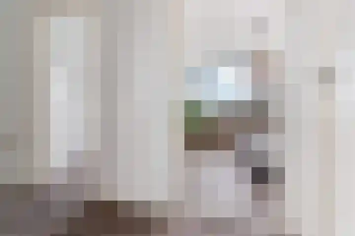 Drakensteinstraat 12 Nijmegen thumbnail 14