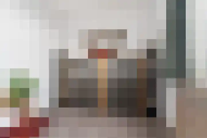 Drakensteinstraat 12 Nijmegen thumbnail 20