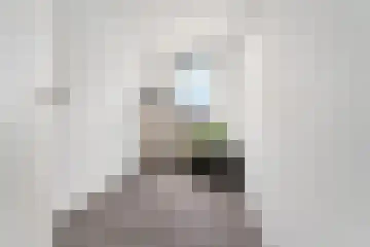Drakensteinstraat 12 Nijmegen thumbnail 21