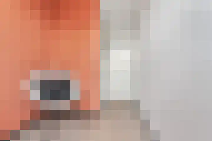 Drakensteinstraat 12 Nijmegen thumbnail 25