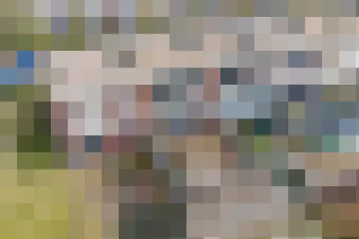 Drakensteinstraat 12 Nijmegen thumbnail 38