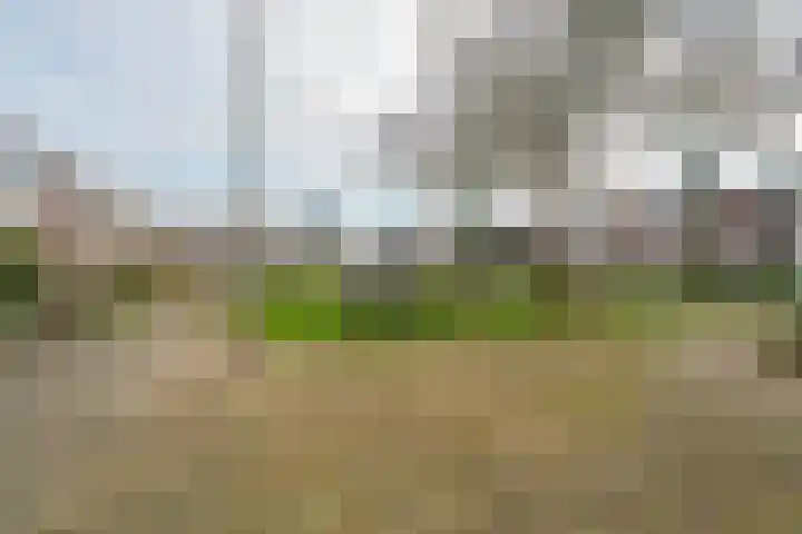 Drakensteinstraat 12 Nijmegen thumbnail 42