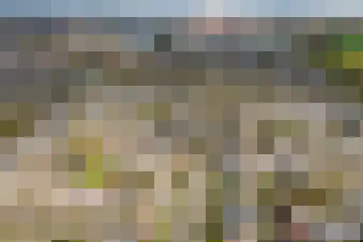 Drakensteinstraat 12 Nijmegen thumbnail 43