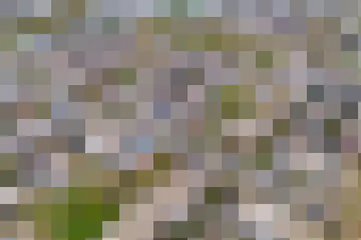 Drakensteinstraat 12 Nijmegen thumbnail 44