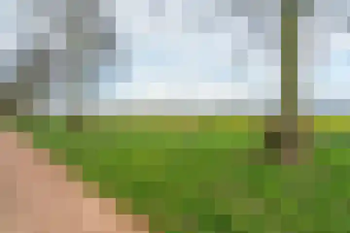 Drakensteinstraat 12 Nijmegen thumbnail 47