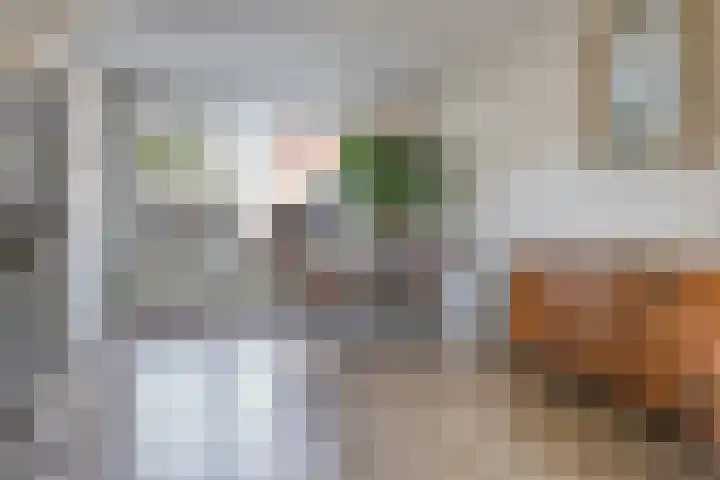Drakensteinstraat 18 Nijmegen thumbnail 10