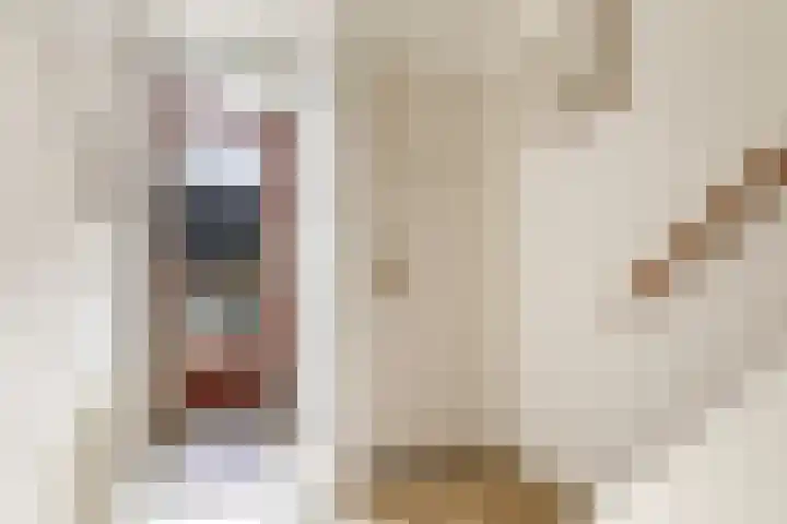 Drakensteinstraat 18 Nijmegen thumbnail 5