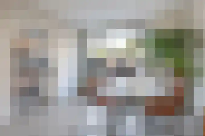 Drakensteinstraat 18 Nijmegen thumbnail 8